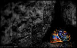 In_The_Cleft_Of_A_Rock_by_wallcoo_com