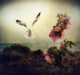 _The_Visitor__by_TreMenda
