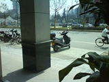 望什么吖