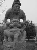 IMG_0046