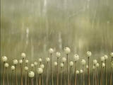 暴风截屏200911<wbr/>04131637