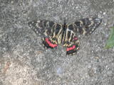 P5100149