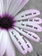 large_9204g67