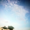cooterboy_520_400