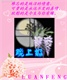 2798408_074724039_2_副本