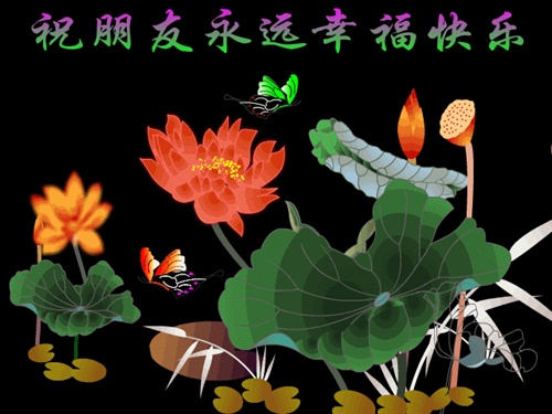 143787a083570bd3e2cc1