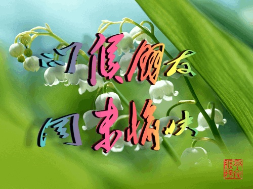 1143069880423382200