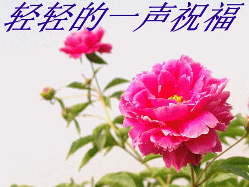 754906a8ccb52c89e1183