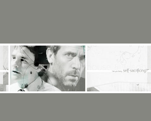 House-and-Wilson-house-md-2107325-1280-1