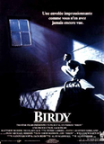 birdy