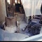 room1