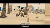 crazy Marley