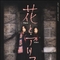 花与爱丽丝