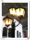 DSCF6195