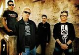 offspring