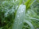 DSC00596