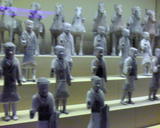 DSC00248