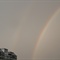 Rainbow5