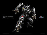 transformears07
