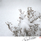 雪