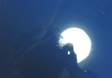 azuremoon00