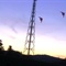 2004115173437878