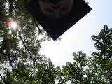 large_T62i_75489o206106