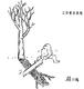 赵汀阳漫画5
