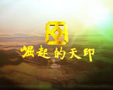 tianyin03