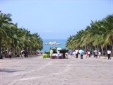 tian ya hai jiao