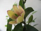 照片 008