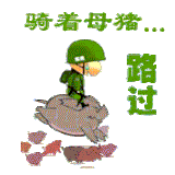 猪