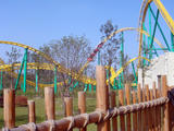 DSC01482