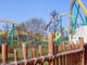 DSC01482