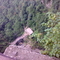 20071005006