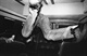 paul_louis_nelson