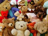 Toy-Bears-5-1-SFUF8MT9Z0-1600x1200