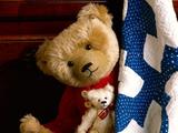 Toy-Bears-8-1-BMSHH2UDRP-1600x1200