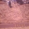 IMG0348A