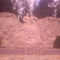 IMG0347A