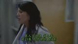 Greys523