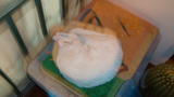 DSC00029