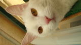 DSC00023