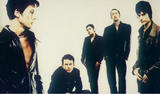 suede_4529