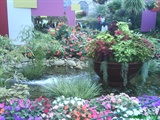 DSC00087
