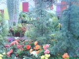 DSC00086