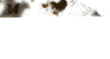 好看
