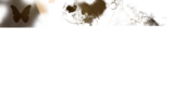 恩