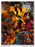 TF_EXPO_15