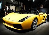 Gallardo
